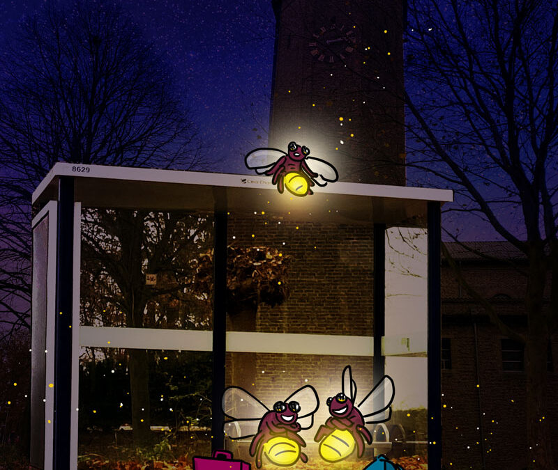 Lichtjesspeurtocht 8
